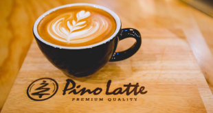 สมัครงานร้านกาแฟ Pino Latte